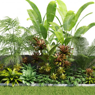 灌木,花园植物,园林植物,园林灌木,灌木花草,园林景观,热带植物