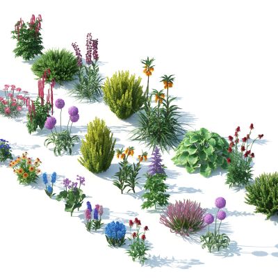 灌木，花草，园林植物，景观植物，花卉，灌木花草