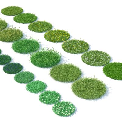 灌木花草，花卉，草坪，草堆，野花，野草