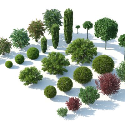 灌木，花草，园林植物，景观植物，花卉，灌木花草