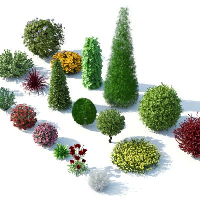 灌木，花草，园林植物，景观植物，花卉，灌木花草