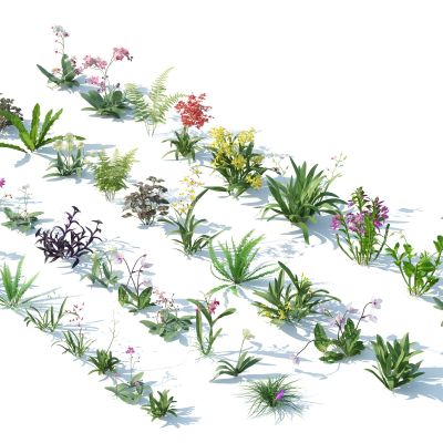 灌木，花草，园林植物，景观植物，花卉，灌木花草