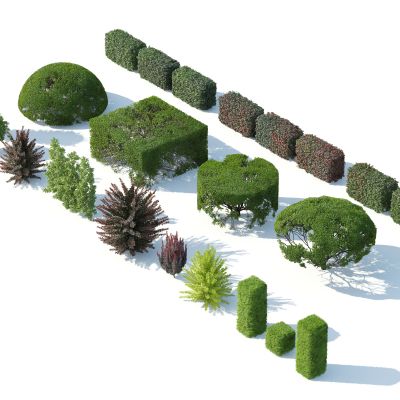 灌木花草，花卉，花朵，人工修剪植物，园林植物，绿化带