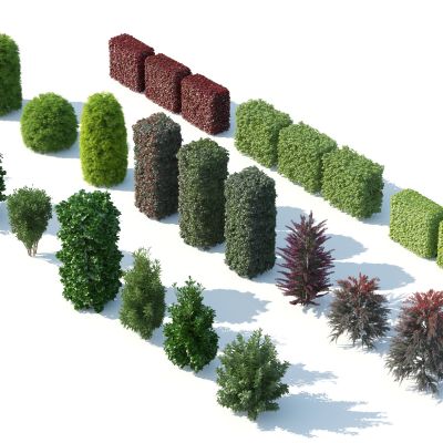 灌木花草，花卉，花朵，人工修剪植物，园林植物，绿化带