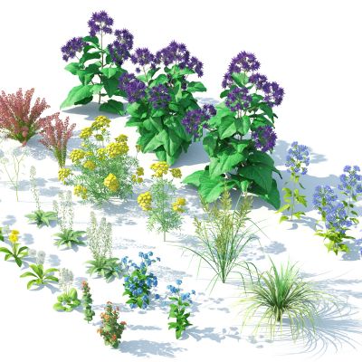 灌木，花草，园林植物，景观植物，花卉，灌木花草