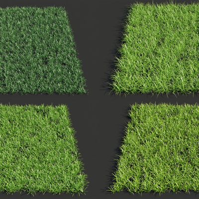 灌木花草，草堆，花朵，草地，草坪，草堆