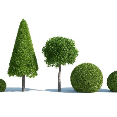 灌木，树木，园林植物，景观植物，人工修剪植物，灌木树