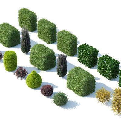 灌木花草，花卉，花朵，人工修剪植物，园林植物，绿化带