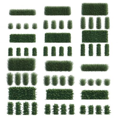 灌木，树木，园林植物，景观植物，人工修剪植物，灌木树