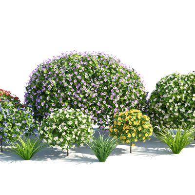 灌木，树木，园林植物，景观植物，人工修剪植物，灌木树