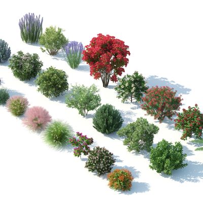 灌木，花草，园林植物，景观植物，花卉，灌木花草