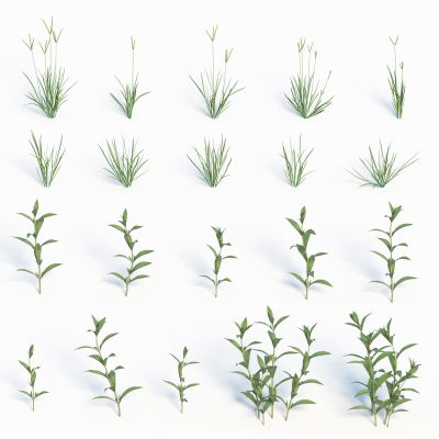 灌木花草，草堆，花朵，草地，草丛，杂草