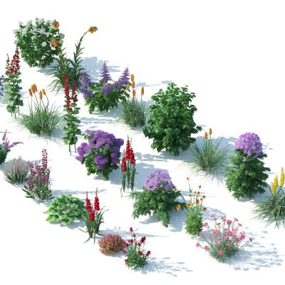 灌木，花草，园林植物，景观植物，花卉，灌木花草