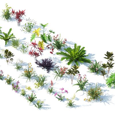 灌木，花草，园林植物，景观植物，花卉，灌木花草