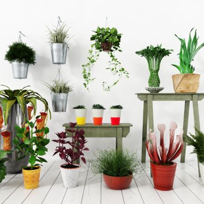 现代盆栽，小盆栽，花瓶，花盆，吊篮，花篮，植物装饰品，植物摆件