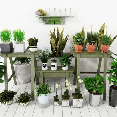 现代盆栽，小盆栽，花瓶，花盆，吊篮，花篮，植物装饰品，植物摆件