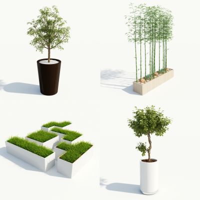 现代盆栽，小盆栽，灌木，户外盆栽，室内小盆栽，装饰品盆栽