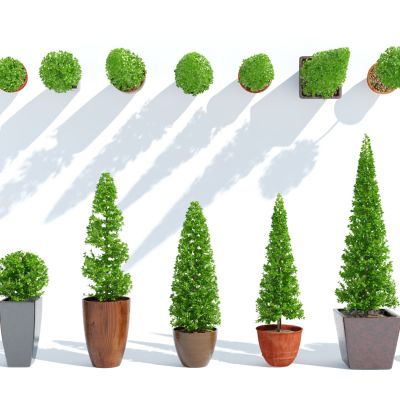 现代盆栽，小盆栽，花，花盆，吊篮，花篮，植物装饰品，植物摆件