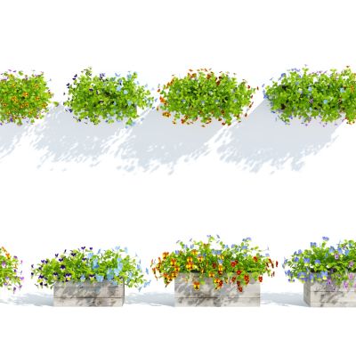 现代盆栽，小盆栽，花，花盆，吊篮，花篮，植物装饰品，植物摆件