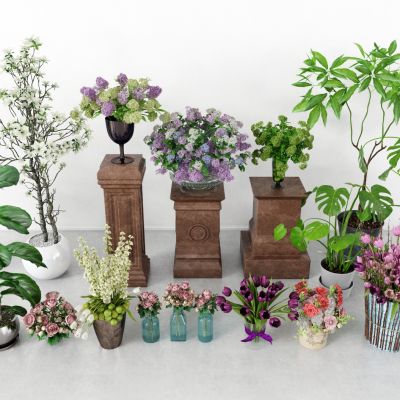 现代盆栽，小盆栽，花瓶，花盆，吊篮，花篮，植物装饰品，植物摆件