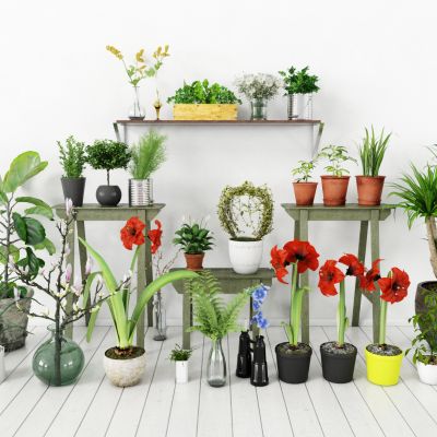 现代盆栽，小盆栽，花瓶，花盆，吊篮，花篮，植物装饰品，植物摆件