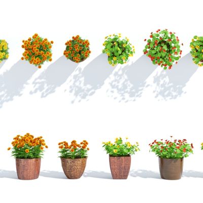 现代盆栽，小盆栽，花，花盆，吊篮，花篮，植物装饰品，植物摆件