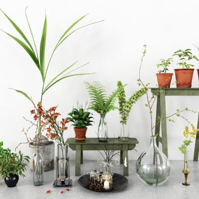 现代盆栽，小盆栽，花瓶，花盆，吊篮，花篮，植物装饰品，植物摆件