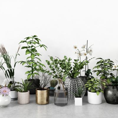 现代盆栽，小盆栽，花瓶，花盆，吊篮，花篮，植物装饰品，植物摆件