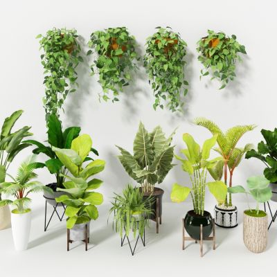 现代盆栽，小盆栽，花，花盆，吊篮，花篮，植物装饰品，植物摆件