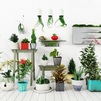 现代盆栽，小盆栽，花瓶，花盆，吊篮，花篮，植物装饰品，植物摆件