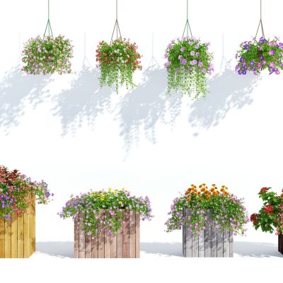 现代盆栽，小盆栽，花，花盆，吊篮，花篮，植物装饰品，植物摆件