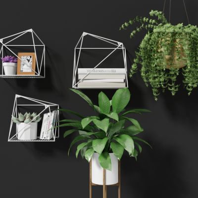 现代盆栽，小盆栽，花，花盆，吊篮，花篮，植物装饰品，植物摆件