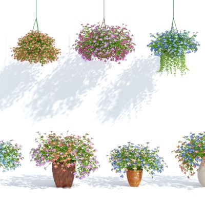 现代盆栽，小盆栽，花，花盆，吊篮，花篮，植物装饰品，植物摆件