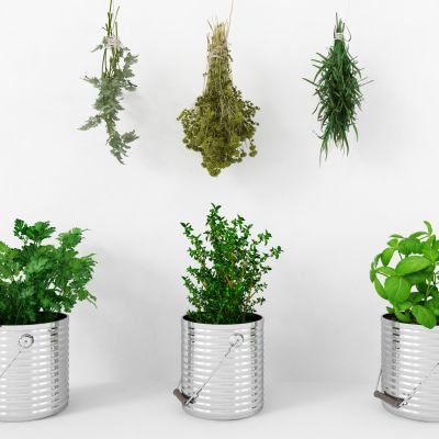 现代盆栽，小盆栽，花瓶，花盆，吊篮，花篮，植物装饰品，植物摆件