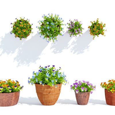 现代盆栽，小盆栽，花，花盆，吊篮，花篮，植物装饰品，植物摆件