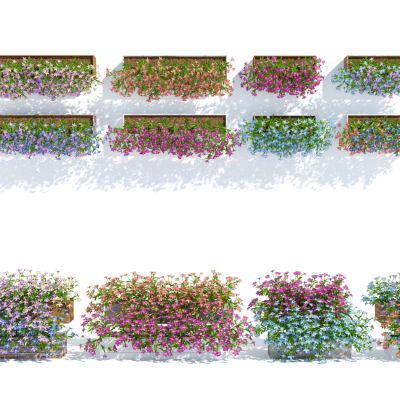 现代盆栽，小盆栽，花，花盆，吊篮，花篮，植物装饰品，植物摆件