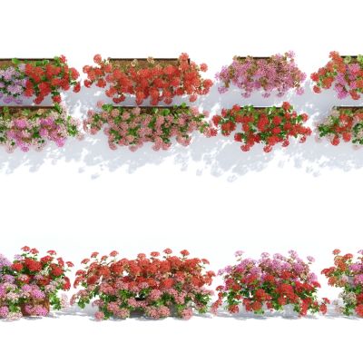 现代盆栽，小盆栽，花，花盆，吊篮，花篮，植物装饰品，植物摆件