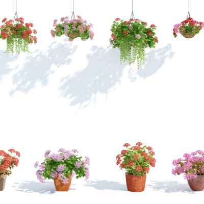 现代盆栽，小盆栽，花，花盆，吊篮，花篮，植物装饰品，植物摆件