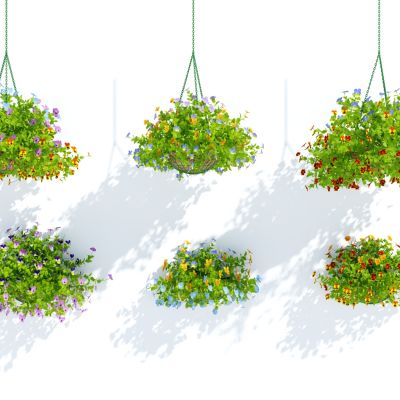 现代盆栽，小盆栽，花，花盆，吊篮，花篮，植物装饰品，植物摆件