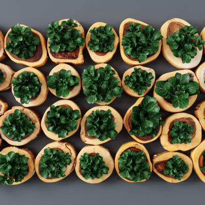 现代绿植墙，绿化墙，绿化墙饰，背景墙，挂饰，绿化装饰品