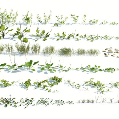 现代灌木，灌木，花草，杂草，草堆，树叶，落叶