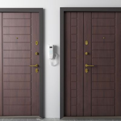 现代入户门 子母门