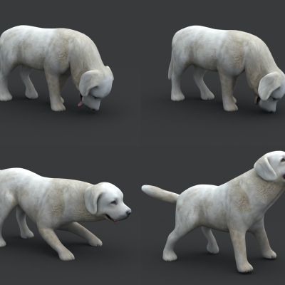 现代动物，狗，小狗，小狗动画