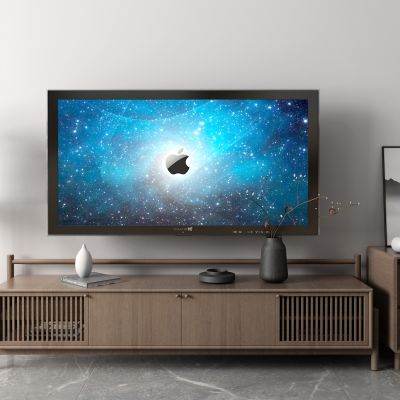 新中式电视柜 盆栽