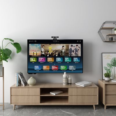 北欧电视柜 盆栽