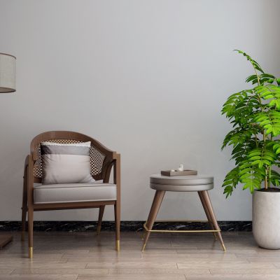 东南亚休闲椅 落地灯 盆栽