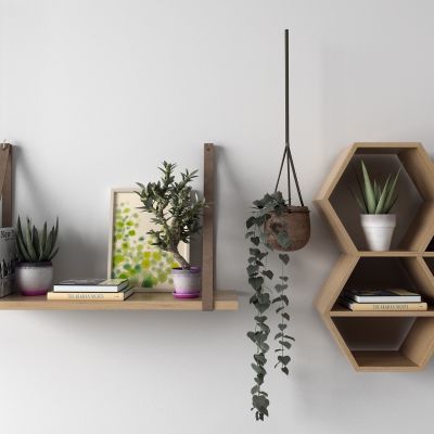 北欧吊架 挂件 盆栽