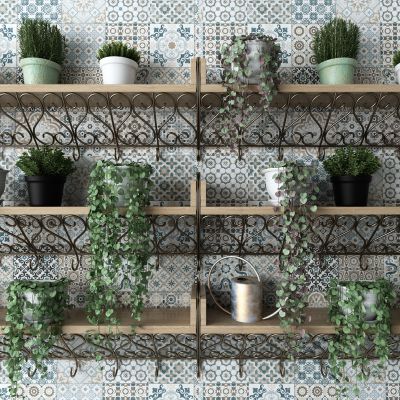 现代吊架 盆栽 绿植