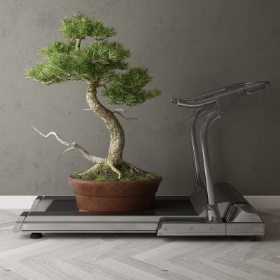 现代家居组合，饰品，沙发柜子挂画