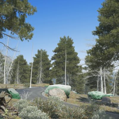 现代 风格 森林 树 路